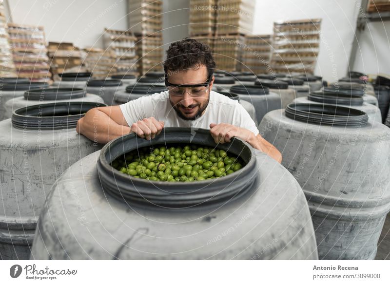 Riechen Sie die Oliven Frucht Arbeit & Erwerbstätigkeit Arbeitsplatz Fabrik Industrie Business Mensch Mann Erwachsene Container Handschuhe Verpackung Kunststoff