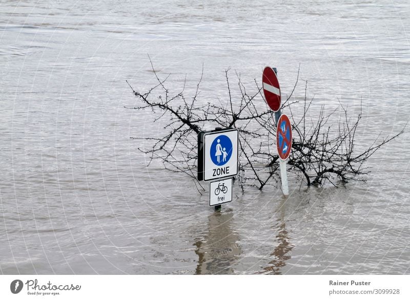 Klimawandel - Überschwemmte Fußgängerzone Natur Wasser schlechtes Wetter Sturm Fluss Rhein Zerstörung Überschwemmung überschwemmt untergehen Wassermassen