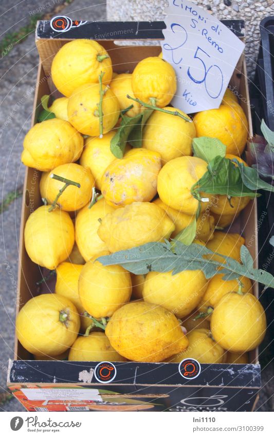 Zitronen Lebensmittel Frucht Ernährung Italienische Küche gelb grau grün Zitronenblatt Kiste Karton Wochenmarkt verkaufen Bioprodukte Preisschild Ernte sauer