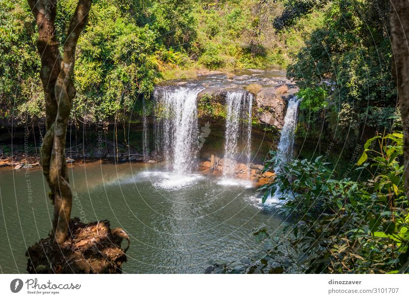 Thamchamp Pee Wasserfall, Paksong, Laos schön Ferien & Urlaub & Reisen Tourismus Berge u. Gebirge Umwelt Natur Pflanze Baum Wald Urwald Felsen Fluss Tropfen