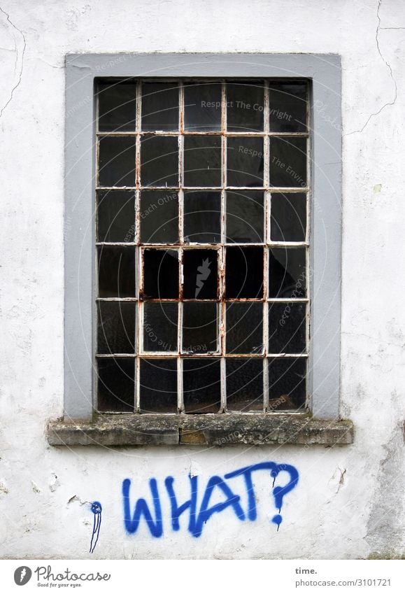 Multiple Choice Haus Ruine Mauer Wand Fenster Stein Schriftzeichen Graffiti Linie dunkel gruselig kaputt trashig trist Stadt wild Ausdauer Neugier Überraschung