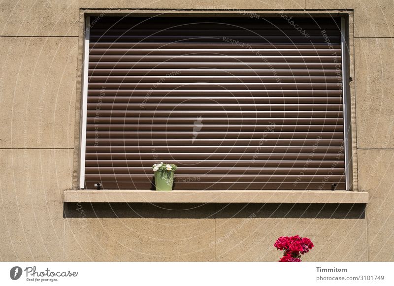 Oktoberblues Häusliches Leben Haus Mauer Wand Fenster Stein Kunststoff einfach braun grün rot Gefühle Ordnungsliebe Fenstersims verschönern Schmuckkörbchen
