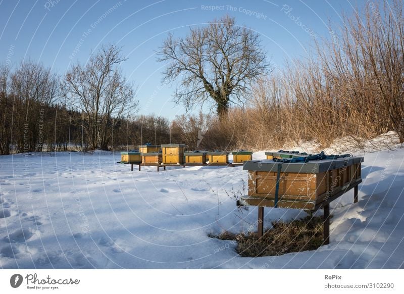 Bienenstöcke in einer Winterlandschaft. Liebling Ernährung Lifestyle Gesundheit Gesunde Ernährung Wellness Erholung Freizeit & Hobby Jagd wandern