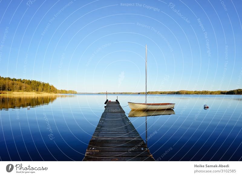 Idylle am Västersjön See in Schweden Segeln Natur Landschaft Wasser Himmel Küste Seeufer Schonen Skåne Bootsfahrt Segelboot blau ruhig Einsamkeit Gewässer Steg
