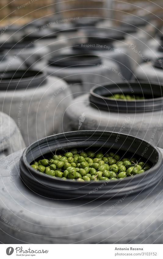 OLives auf Fass Frucht Arbeit & Erwerbstätigkeit Fabrik Industrie Paket frisch grün Lauf Lebensmittel Pfand oliv Oliven Olivenöl Fermentation aufgereiht Reihe