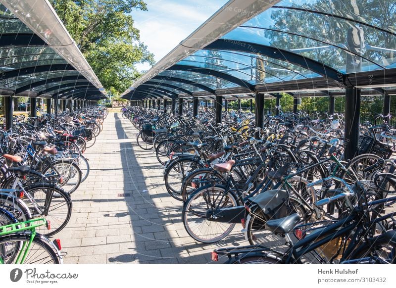 Typische holländische Szene eines Fahrradabstellplatzes Fahrradgarage Radfahren hell Großstadt Zyklus Abstellen von Fahrrädern Tag Ökologie wirkungsvoll Europa