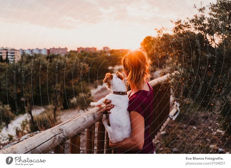 junge Frau und ihr Hund beobachten den Sonnenuntergang in einem Park. Lifestyle Freude Freizeit & Hobby Sommer feminin Junge Frau Jugendliche Erwachsene