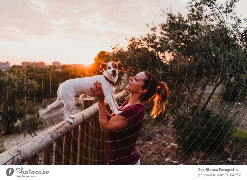 junge Frau und ihr Hund beobachten den Sonnenuntergang in einem Park. Lifestyle Freude Glück schön Freizeit & Hobby Sommer feminin Junge Frau Jugendliche