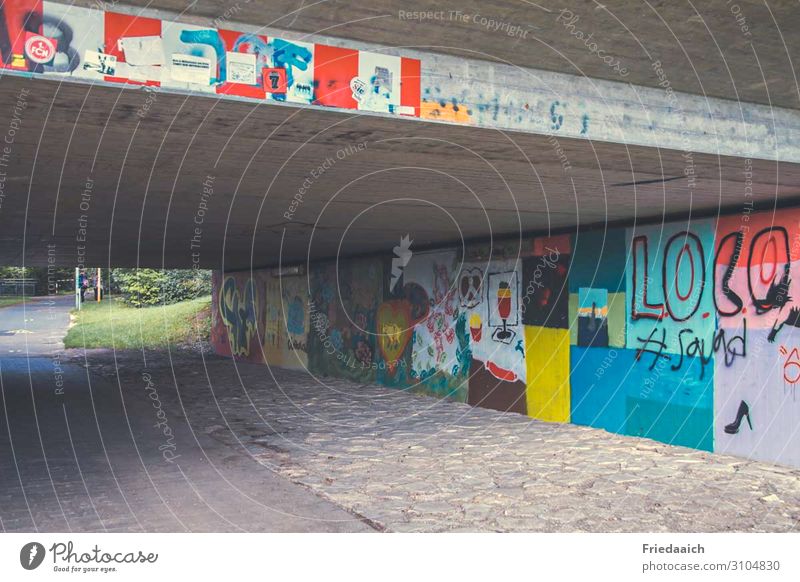 Farbe unter der Brücke Freizeit & Hobby Kunst Maler Kunstwerk Tunnel Architektur Mauer Wand Verkehrswege Fahrradfahren Fußgänger Beton Schriftzeichen Ornament