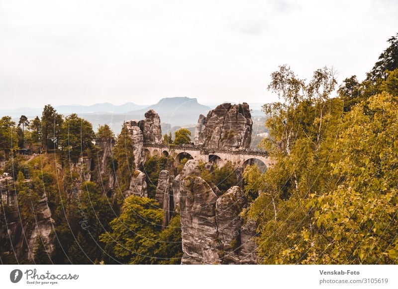 Sächsische Schweiz Bastei Ferien & Urlaub & Reisen Tourismus Ausflug Ferne Freiheit Sightseeing Berge u. Gebirge wandern Architektur Natur Landschaft Baum