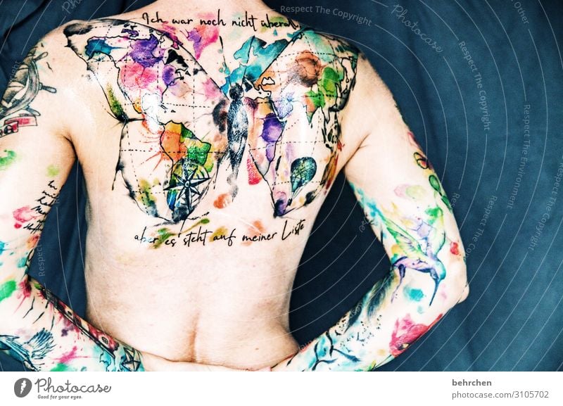 nackt?! Frau Erwachsene Haut Rücken Arme 30-45 Jahre Tattoo Mut tätowiert mehrfarbig Kunst Kunstwerk Körperbewusstsein Schmetterling Weltkarte Kolibris