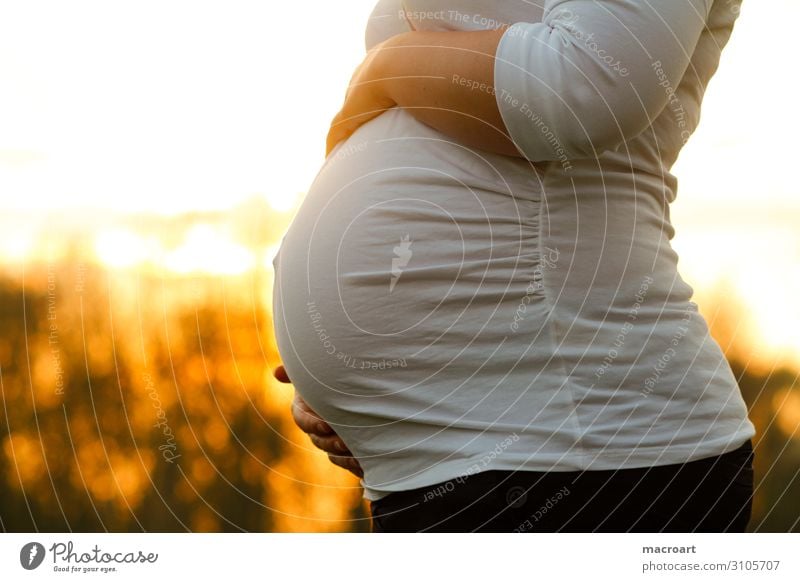 Schwangerschaft schwanger Babybauch pregnant belly Sonnenuntergang Hand Frau feminin natürlich Bauch Kinderwunsch