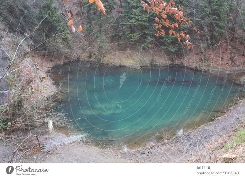 Grüner See (Minisee in Markendorf/Melle) Natur Landschaft Urelemente Wasser Herbst Baum Wald Seeufer blau grau grün rot türkis Steinbruch klein Mineralien