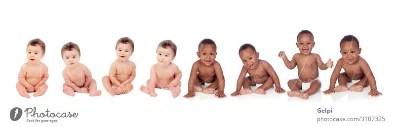 Acht lustige Babys, die auf dem Boden sitzen. Freude Glück schön Haare & Frisuren Haut Gesundheitswesen Leben Kind Mensch Kleinkind Mann Erwachsene Kindheit