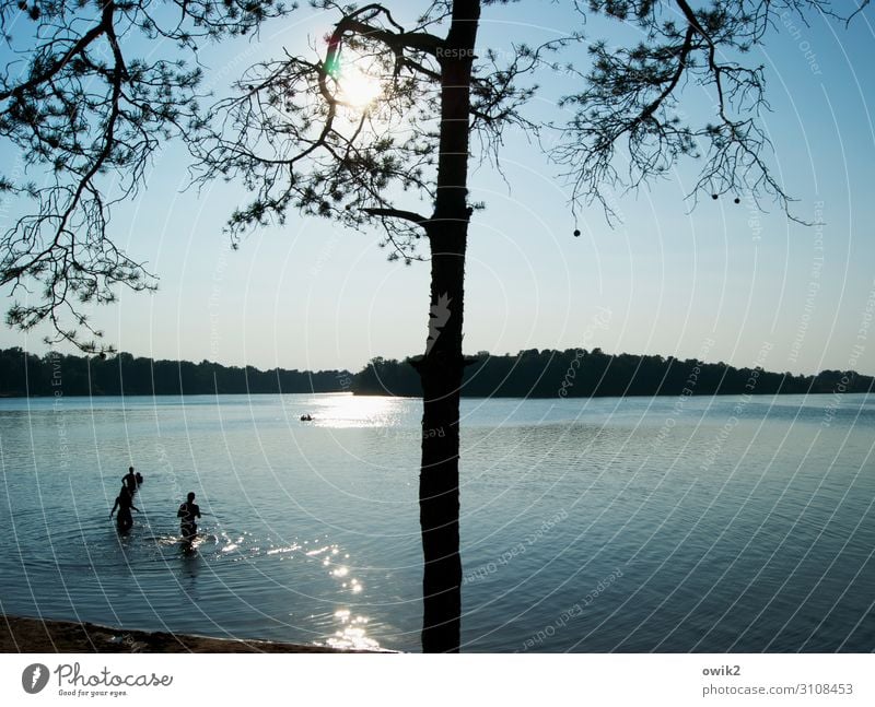 Urlaub am Wasser Freizeit & Hobby Ferien & Urlaub & Reisen Sommer Sommerurlaub Sonne Sonnenbad Schwimmen & Baden Junge Frau Jugendliche Junger Mann 3 Mensch