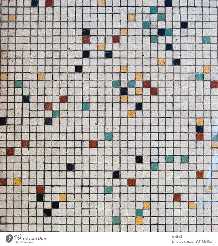 Ende offen Kunst Kunstwerk Mauer Wand Sammlung Mosaik Mosaiksteinchen Stein klein viele verrückt mehrfarbig komplex Konzentration Netzwerk Ordnung Vereinzelung