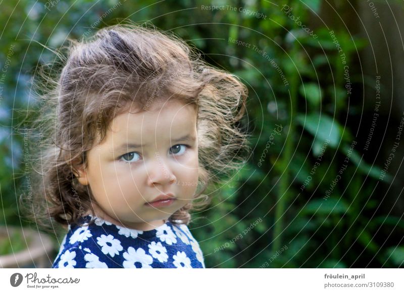 schmollen 1 Person Außenaufnahme Blick in die Kamera Kind Kindheit Kopf Mädchen Portrait Querformat Tageslicht Träne traurig Mensch Farbfoto Porträt 3-8 Jahre