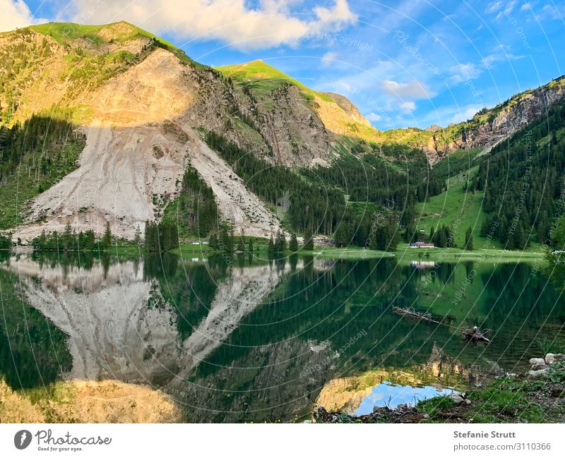 Aufnahme in den Bergen am See Natur Landschaft Pflanze Tier Erde Wasser Himmel Wolken Sonnenaufgang Sonnenuntergang Sommer Schönes Wetter Baum Felsen Alpen