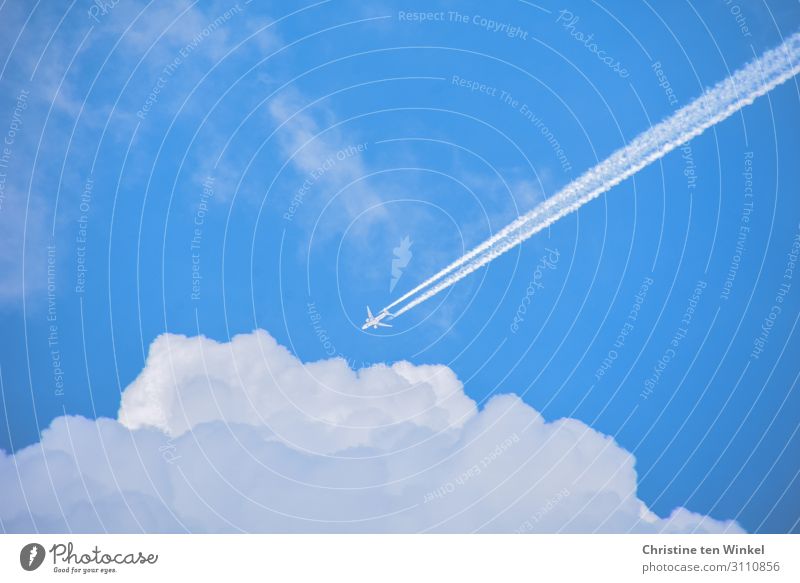 Flugzeug mit Kondensstreifen am blauen Himmel fliegt auf weiße Wolken zu Ferien & Urlaub & Reisen Tourismus Ferne Umwelt Luft Sonnenlicht Schönes Wetter