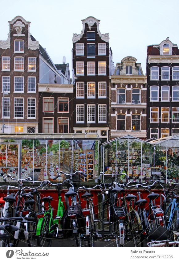 Eine Reihe Fahrräder, dahinter Gewächshäuser, dahinter die typischen schmalen Gebäude von der Innenstadt von Amsterdam Sightseeing Städtereise Niederlande