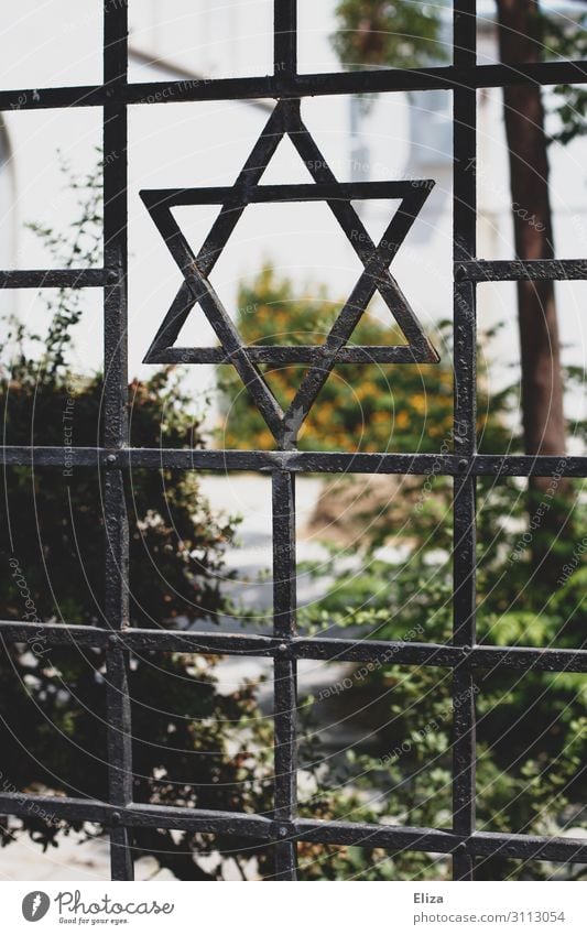 Zaun mit einem Davidstern, Symbol des Judentums, vor einer Synagoge Religion Eisen Garten Religion & Glaube Israel