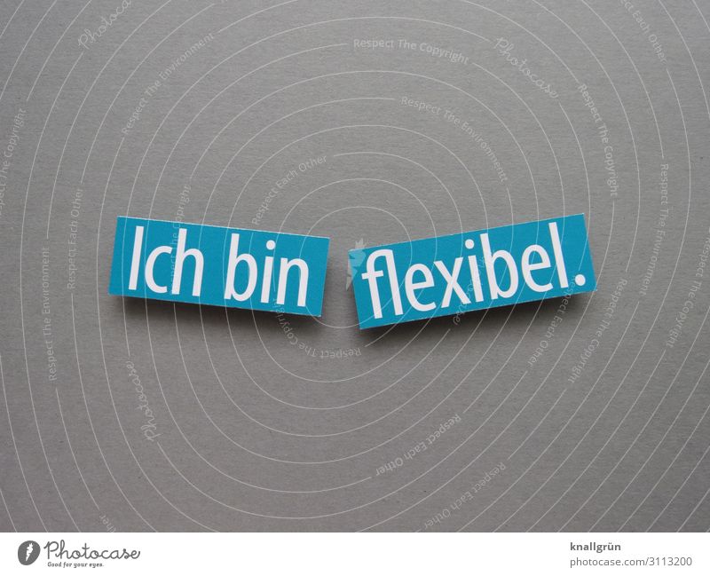 Ich bin flexibel. Flexibilität anpassungsfähig beweglich Erwartung unkompliziert Buchstaben Wort Satz Letter Lateinisches Alphabet Text Hintergrund neutral