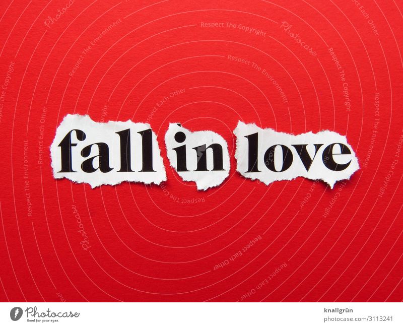 fall in love Schriftzeichen Schilder & Markierungen Kommunizieren Liebe grau rot weiß Gefühle Glück Lebensfreude Sympathie Zusammensein Verliebtheit Begierde