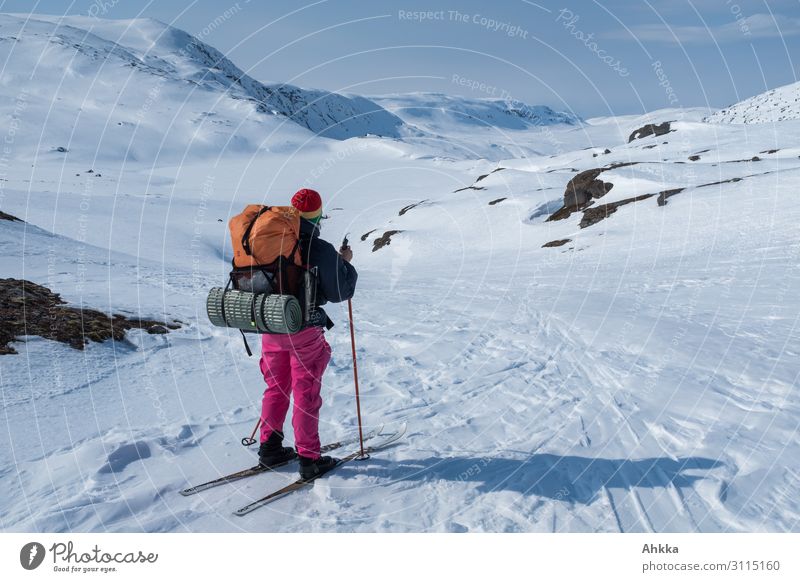 Ferne Ziele, Abenteurerin schaut in weite Bergwelt Abenteuer Winter Schnee Winterurlaub Wintersport Junge Frau Jugendliche Natur Urelemente Eis Frost