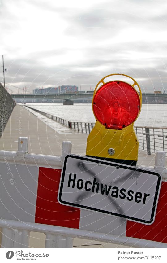 Klimawandel: Hochwasser in Köln Umwelt Natur Wasser schlechtes Wetter Flussufer Rhein Stadtzentrum Umweltverschmutzung Umweltschutz Zerstörung überschwemmen