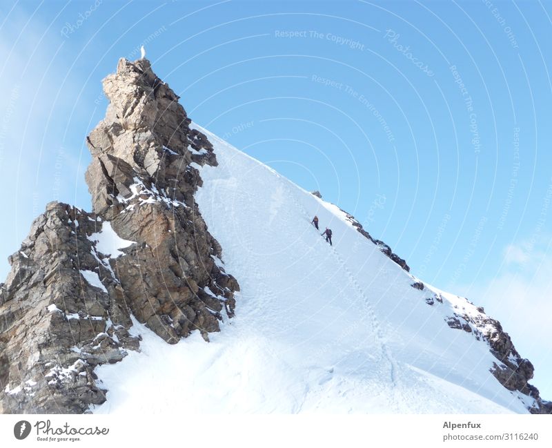 Krabbelgruppe Felsen Alpen Berge u. Gebirge Monte Rosa Gipfel Schneebedeckte Gipfel Gletscher Freude Glück Lebensfreude Frühlingsgefühle Vorfreude Begeisterung