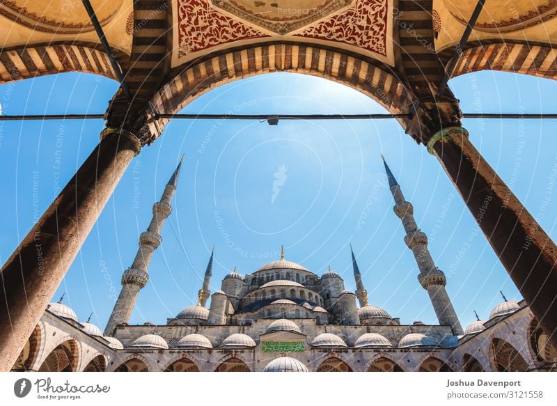 Blaue Moschee Ferien & Urlaub & Reisen Tourismus Ausflug Sightseeing Dom Bauwerk Gebäude Architektur Sehenswürdigkeit Wahrzeichen Religion & Glaube
