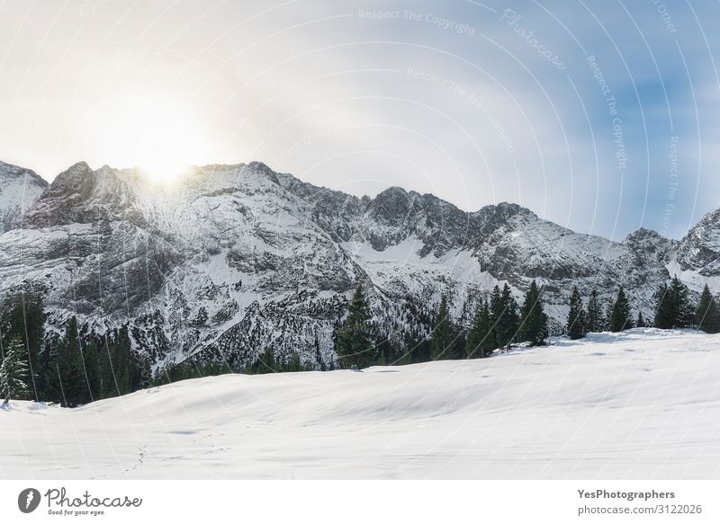 Wintermorgenszene mit verschneiten Alpenbergen in Österreich Ferien & Urlaub & Reisen Ausflug Abenteuer Schnee Berge u. Gebirge Weihnachten & Advent