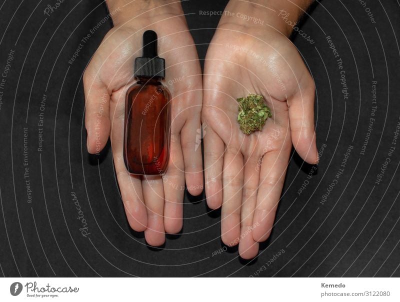Hände, die Marihuana-Knospe und eine Flasche Cbd-Öl zeigen. Lebensmittel Kräuter & Gewürze Bioprodukte Getränk Alkohol Topf Lifestyle schön Körperpflege
