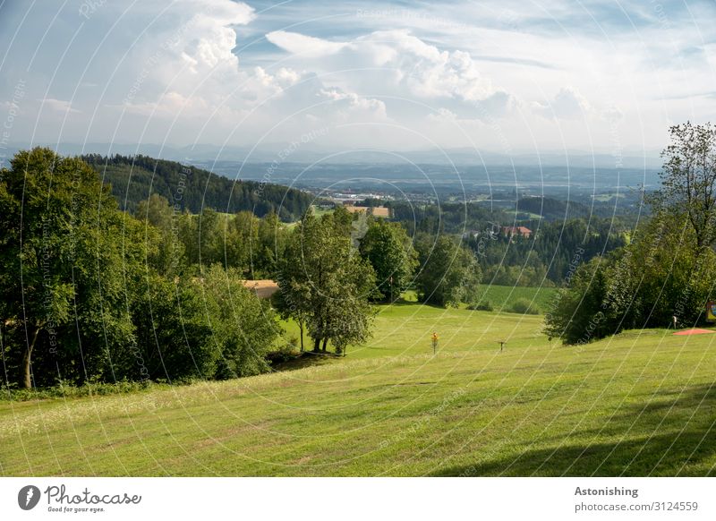 Weite Umwelt Natur Landschaft Pflanze Luft Himmel Wolken Horizont Sommer Wetter Schönes Wetter Baum Blume Gras Sträucher Wiese Feld Hügel Alpen Österreich Dorf