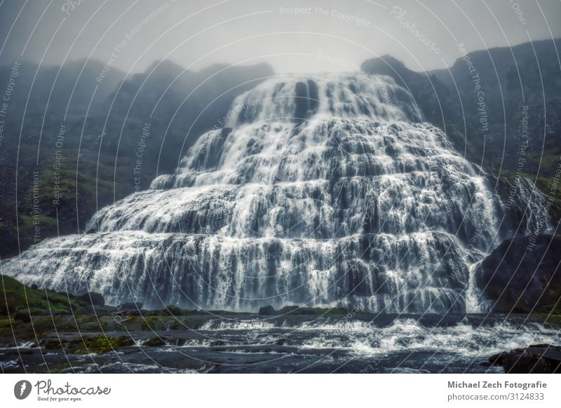 neblige Panoramaaufnahme des Dynjandi-Wasserfalls auf Island schön Ferien & Urlaub & Reisen Sommer Berge u. Gebirge Natur Landschaft Himmel Nebel Felsen Fjord