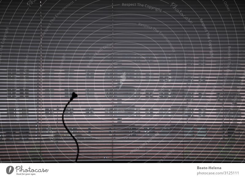 Transparent 2 durchsichtig transparent Innenaufnahme Strukturen & Formen Licht Jalousien Fenster