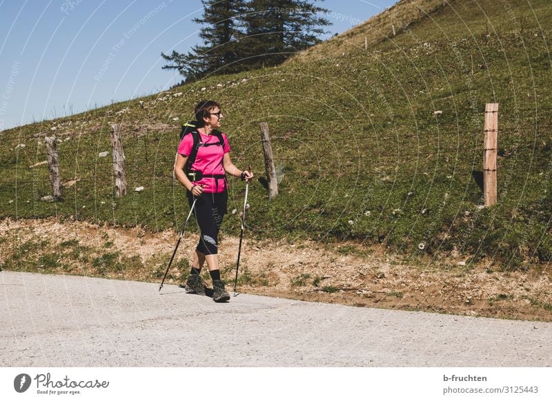 Wanderung Leben Wohlgefühl Zufriedenheit Freizeit & Hobby Ausflug Freiheit Sommer Berge u. Gebirge wandern Sport Frau Erwachsene 1 Mensch Herbst Schönes Wetter