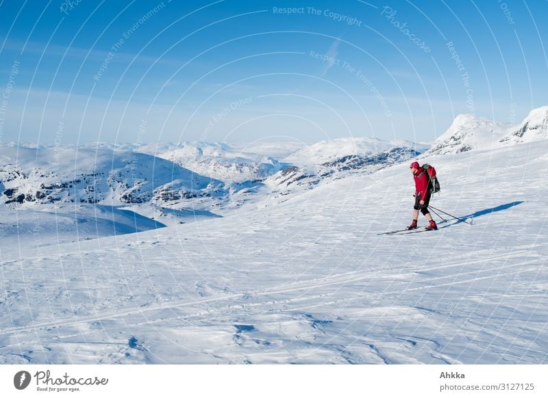 Skifahrer in nordischer Gletscherlandschaft Ferien & Urlaub & Reisen Ferne Winter Schnee Winterurlaub Berge u. Gebirge Wintersport Skifahren Junger Mann