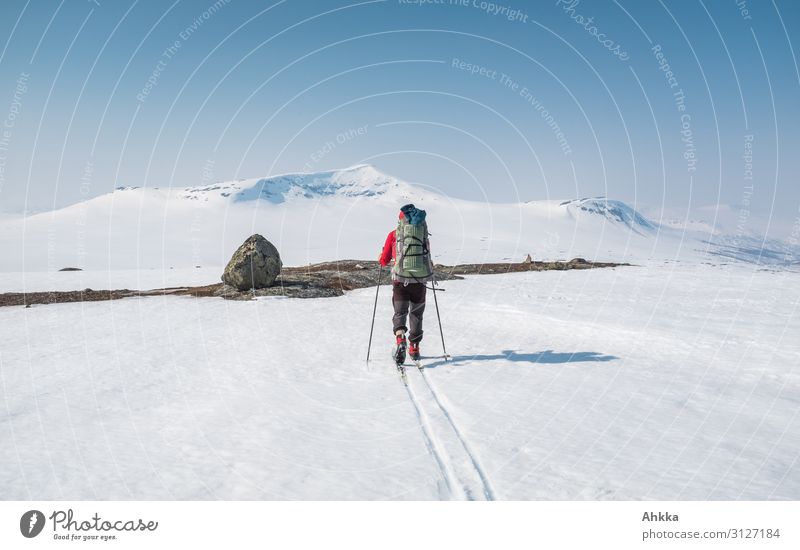 Skifahrer auf Abenteuerfahrt im Norden Ferne Expedition Winter Schnee Berge u. Gebirge Wintersport 1 Mensch Natur Eis Frost Norwegen Skispur fahren Mut