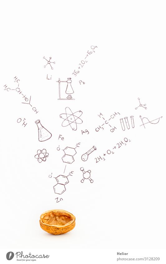 Concept of chemistry in a nutshell Studium Labor lernen braun schwarz weiß Atom Hintergrundbild Grafische Darstellung Ikon Grafik u. Illustration