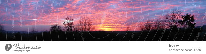 der himmel kocht Weitwinkel Panorama (Aussicht) Sonnenuntergang Baum Wolken groß Panorama (Bildformat)
