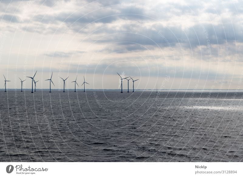 Offshore Windpark Lillgrund, Schweden/Dänemark Nordsee (3) Technik & Technologie Erneuerbare Energie Windkraftanlage Energiekrise Umwelt Wasser Himmel Wolken