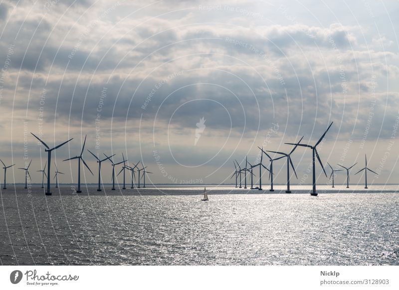 Windräder im Offshore Windpark Lillgrund, Schweden/Dänemark Nordsee Windkraftanlage Windrad Erneuerbare Energie Energiekrise Umwelt Wasser regenerativ