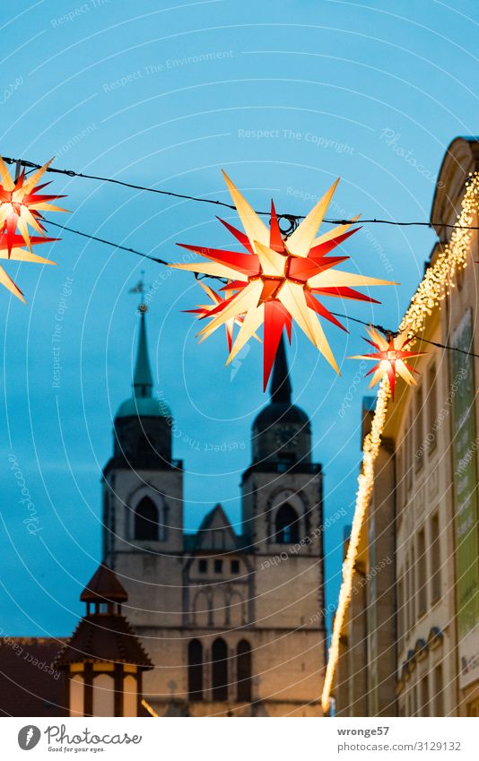 Magdeburger Weihnachtsmarkt Deutschland Europa Hauptstadt Stadtzentrum Altstadt Menschenleer Kirche Marktplatz Sehenswürdigkeit leuchten historisch blau rot