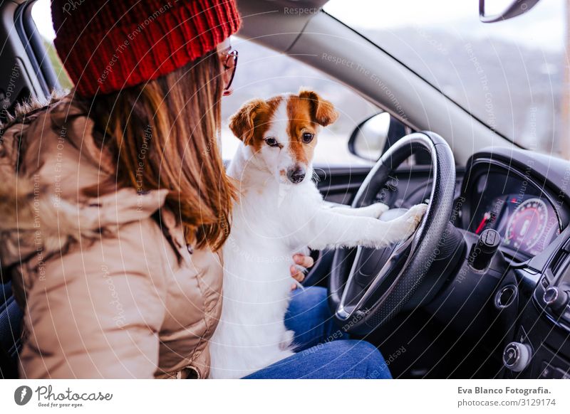 junge Frau in einem Auto mit ihrem süßen kleinen Jack Russell Hund Lifestyle Freizeit & Hobby Ferien & Urlaub & Reisen Ausflug Winter Mensch feminin Junge Frau