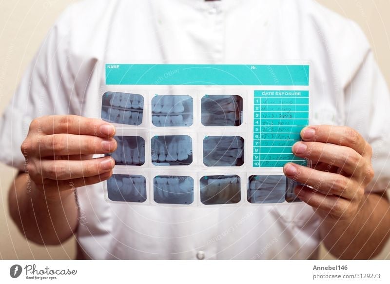 Bild des männlichen Arztes oder Zahnarztes mit Zahnröntgenbild Gesundheitswesen Behandlung Krankheit Medikament Prüfung & Examen Technik & Technologie Mensch