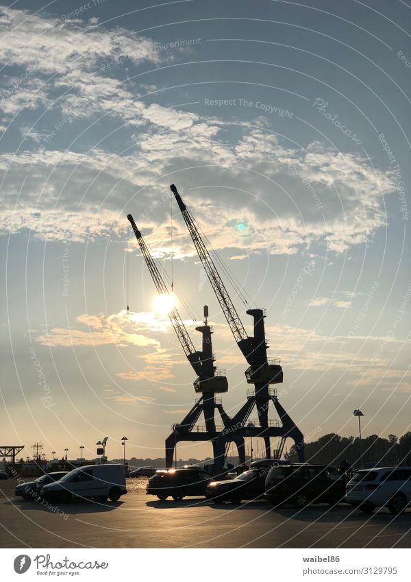 Sonnenuntergang im Rostocker Hafen bei den Docks mit Kränen Tourismus Ausflug Sightseeing Städtereise Sommer Beruf Baustelle Güterverkehr & Logistik Industrie