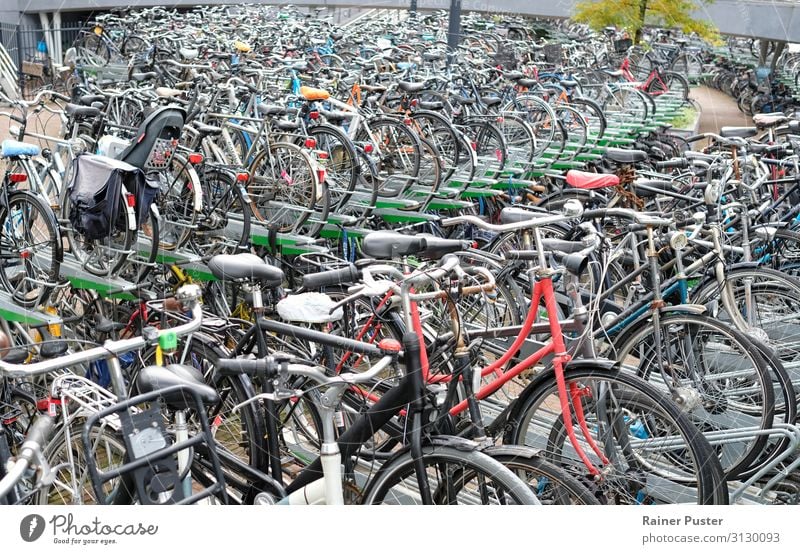 Zahlreiche Fahrräder auf einem speziellen Parkplatz in Rotterdam Fahrrad Niederlande Parkhaus Fahrradfahren Straße Metall Stahl grau schwarz parken Farbfoto