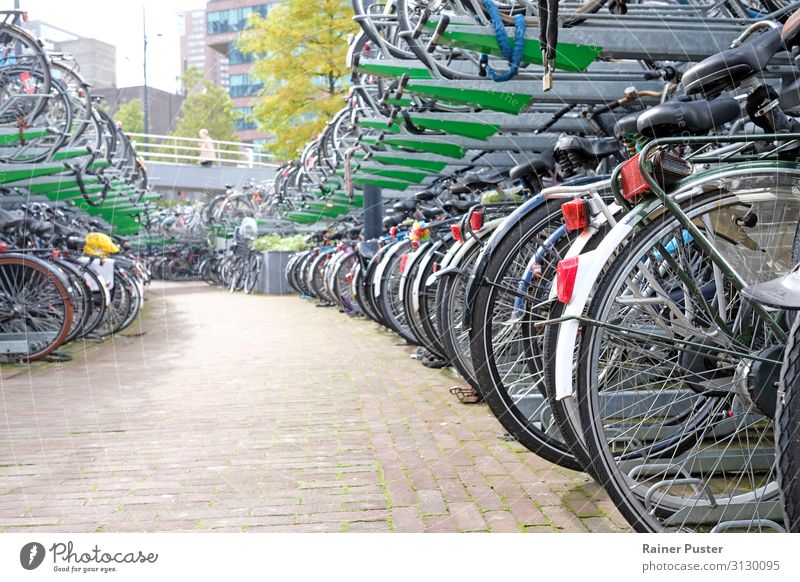 Fahrrad-Parkplatz in Rotterdam Stadt Stadtzentrum Fahrradfahren Straße Metall Stahl grau grün schwarz Freizeit & Hobby Farbfoto Außenaufnahme Textfreiraum links