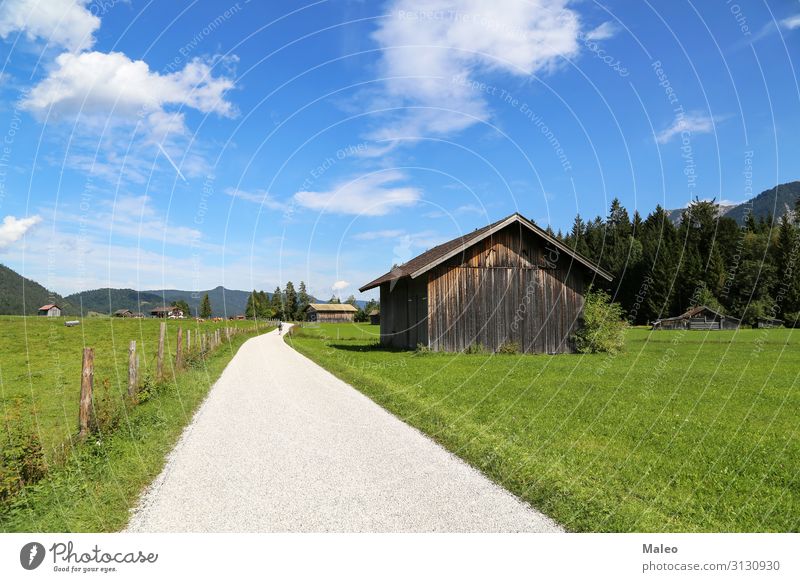 Berghütten auf grünen Wiesen in den Alpen Österreich Bayern blau Europa Feld Wald Gras wandern Hügel Ferien & Urlaub & Reisen Haus Hütte Landschaft